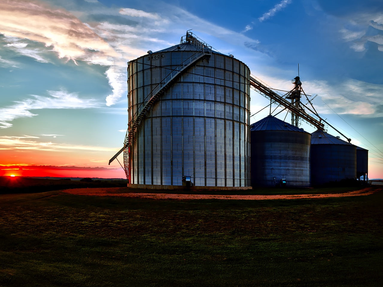 Celebrating Iowa Day: Adventures with Your Dog in the Hawkeye State!